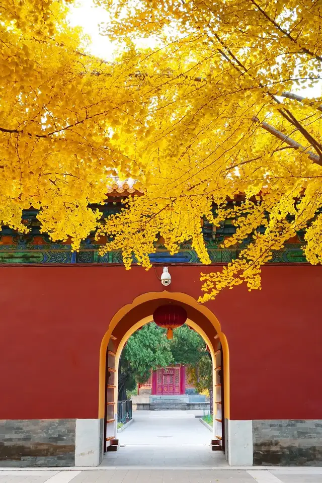 倍加网 错峰出行！这才是9月最值得去的10个旅游地！将迎来中国最美早秋，人少景美！