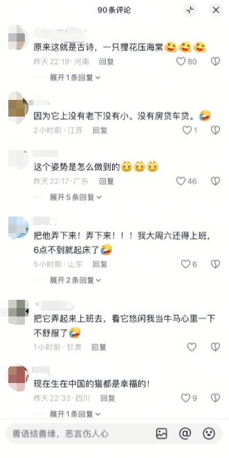 泸深配 一只猫咪在大树上安逸睡觉 吹着小风很惬意 网友：这姿势咋“解锁”
