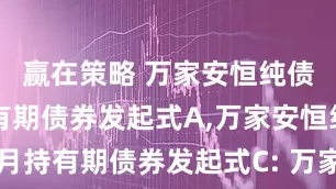赢在策略 万家安恒纯债3个月持有期债券发起式A,万家安恒纯债3个月持有期债券发起式C: 万家安恒纯债3个月持有期债券型发起式证券投资基金分红公告