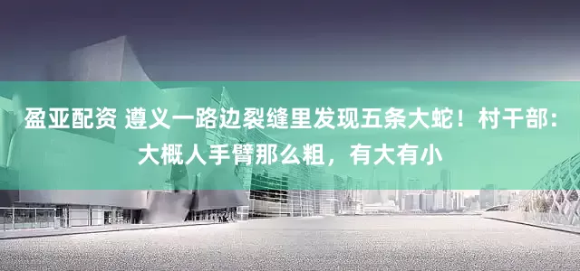 盈亚配资 遵义一路边裂缝里发现五条大蛇！村干部：大概人手臂那么粗，有大有小